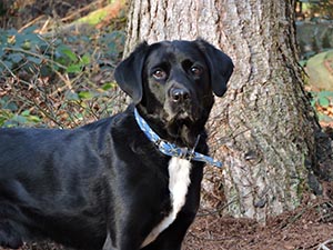 January 2017 Photo 1